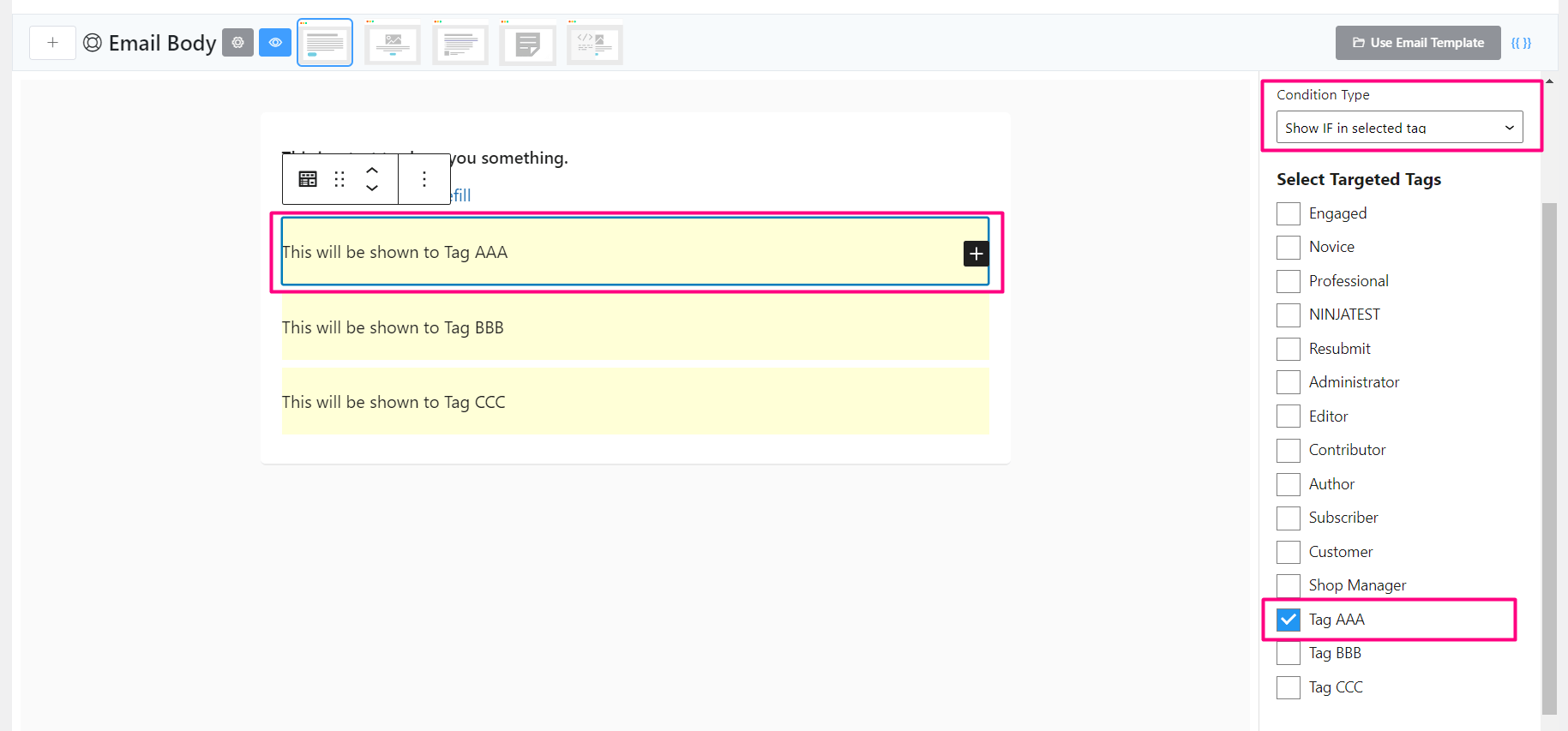 crm email editor conditional block