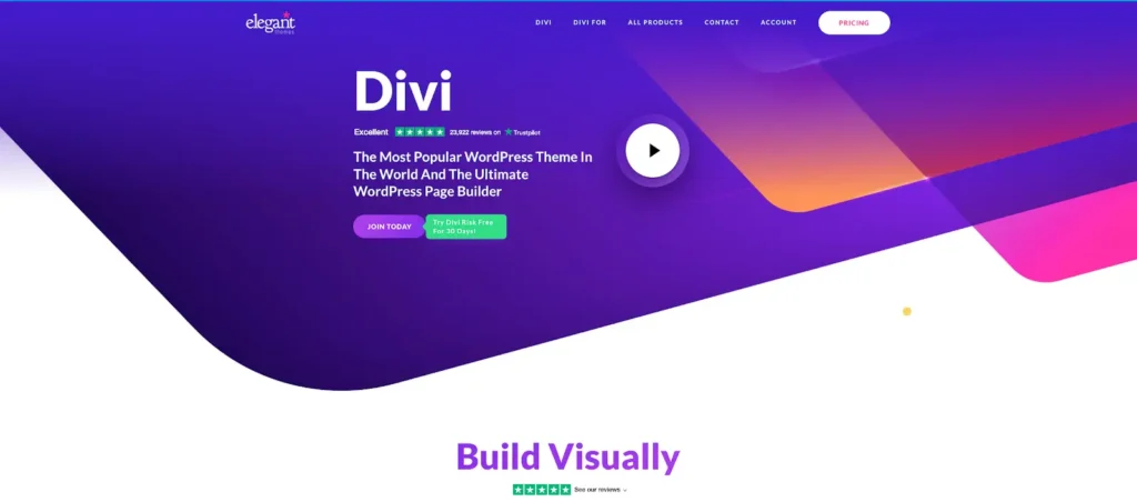 divi theme