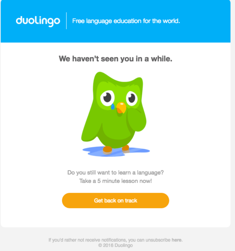 duolingo re engagement email
