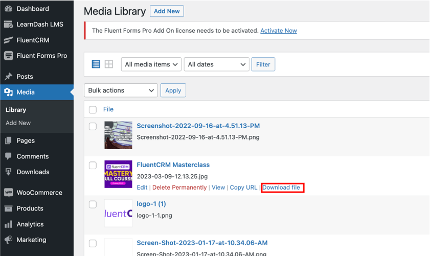 download link for media files in wordpress 6.2 