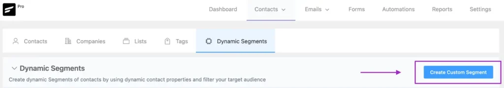 Software interface highlighting the Create Custom Segment button.