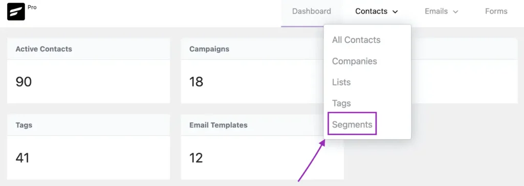 CRM dashboard highlighting the Segments option in a dropdown menu.