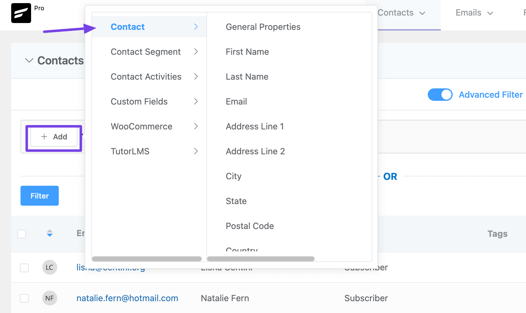 contacts fluentcrm 1 1