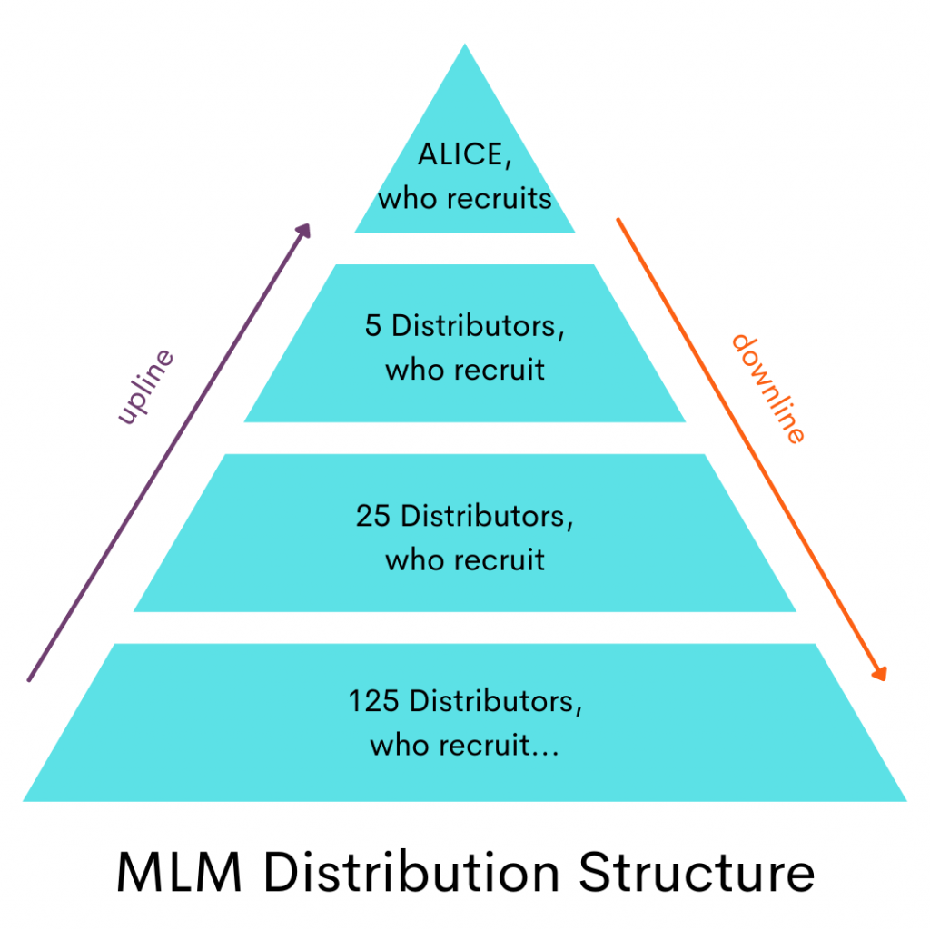 Graphic showing the MLM distribution structure
