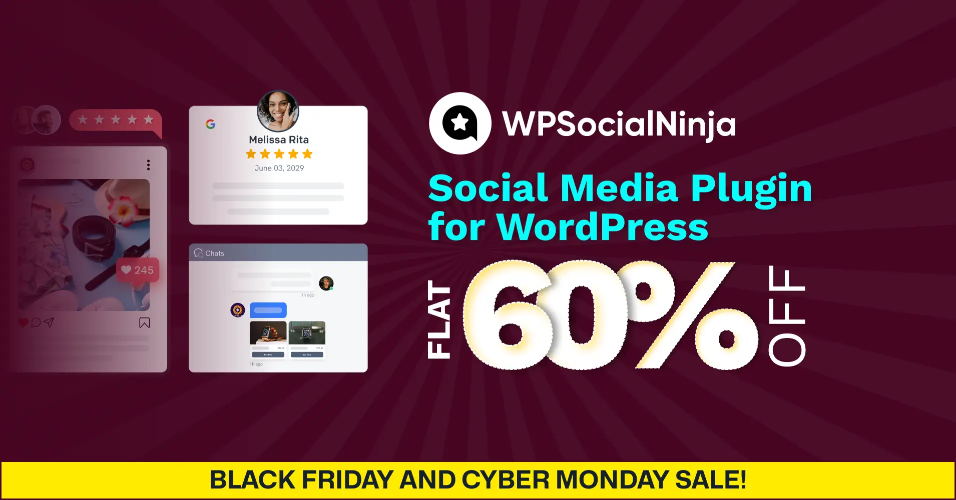 wpsocialninja black friday offer