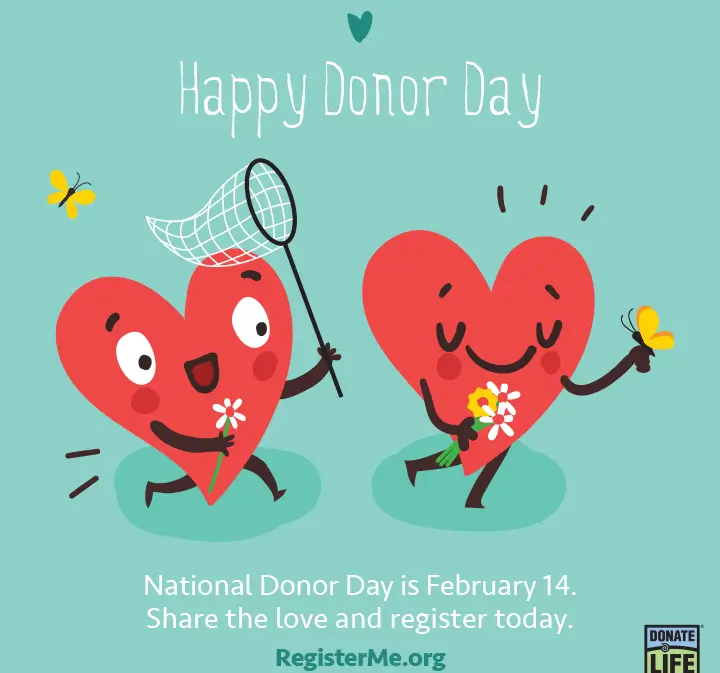 national donor day february newsletter ideas