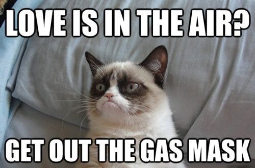 grumpy cat love is in the air