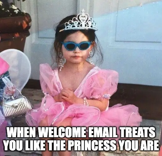 princess meme