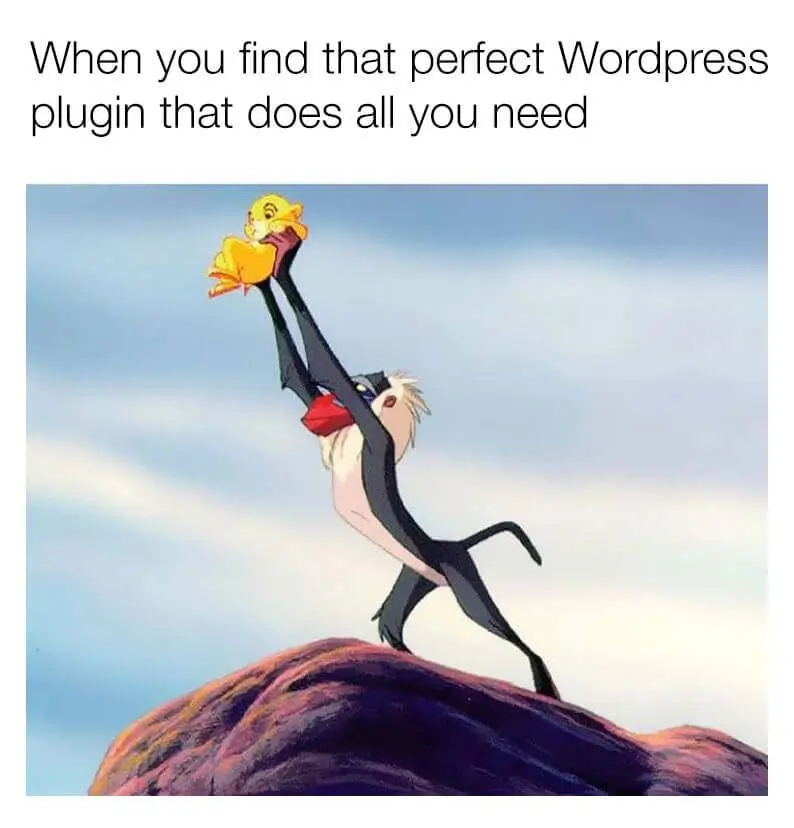 FluentCart: WordPressplugins meme