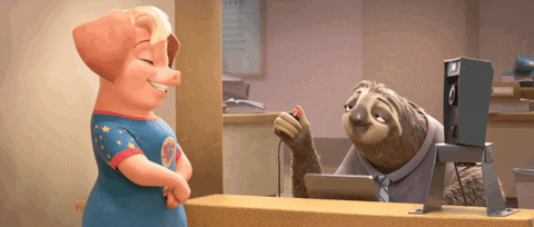 zootopia sloth taking pictures 