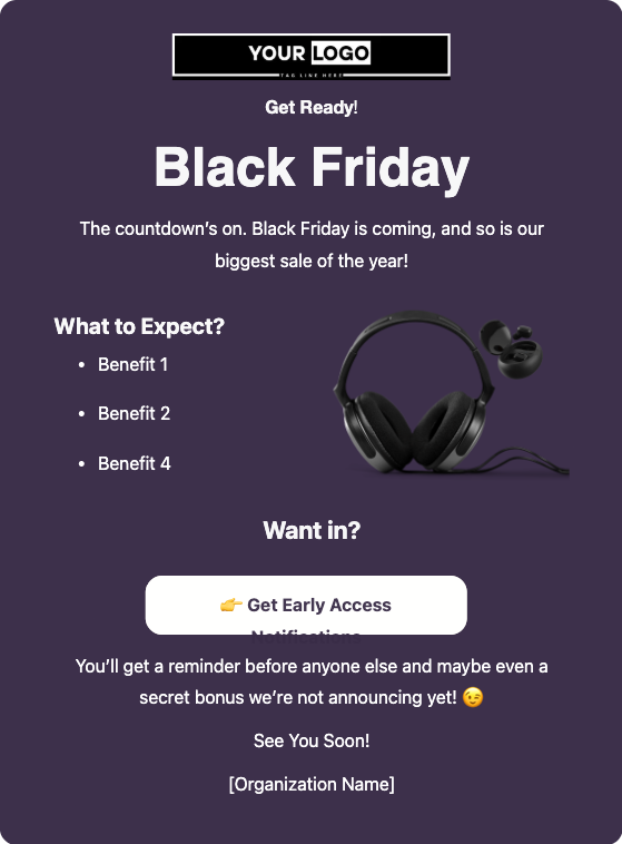 pre black friday email desktop