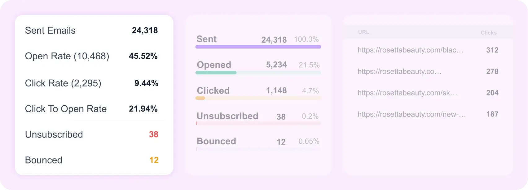 Email campaign metrics dashboard with open, click, and URL data.