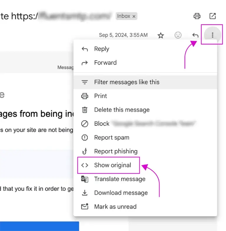 email authentication check (1)