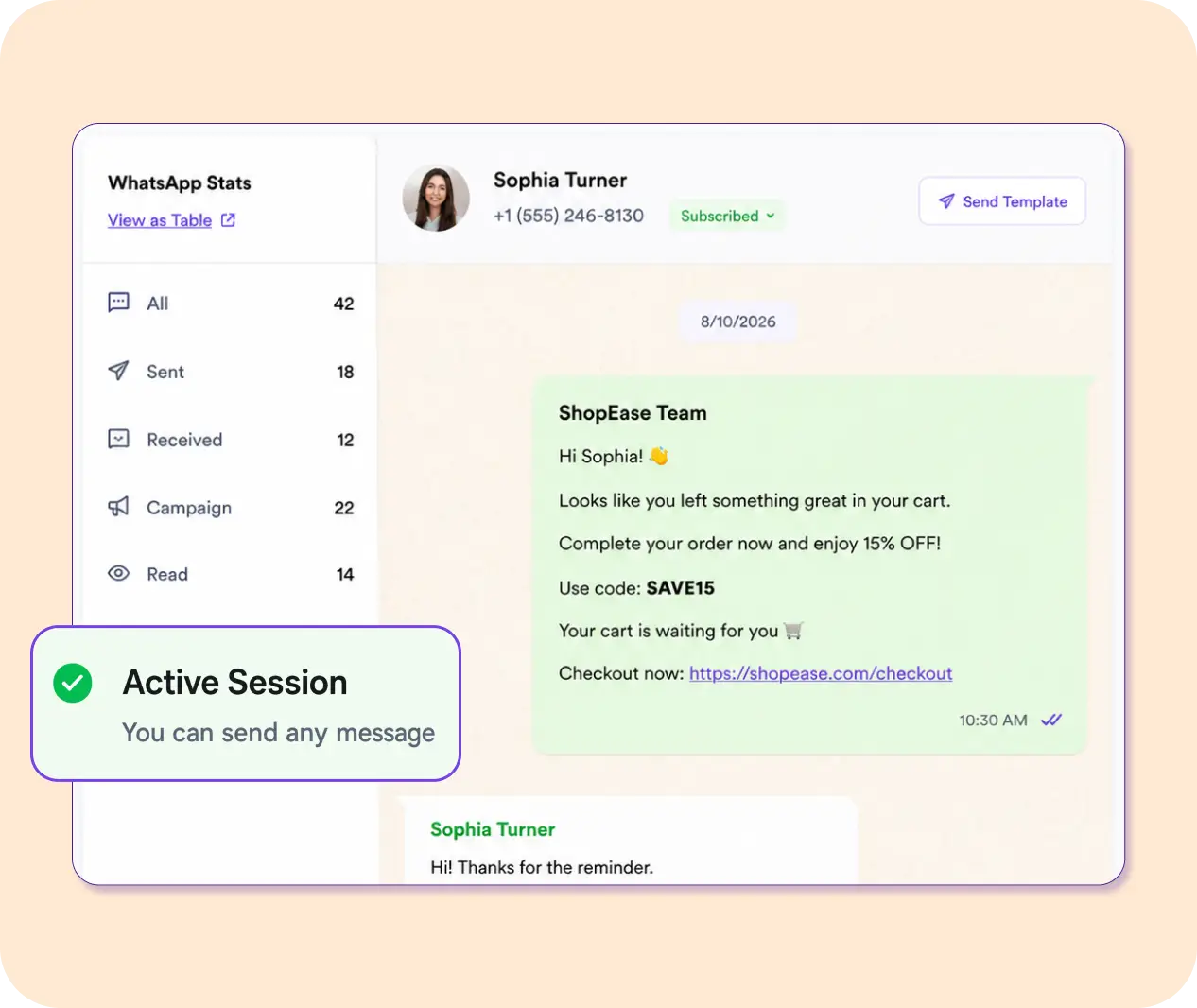 WhatsApp marketing dashboard showing a customer conversation and statistics.