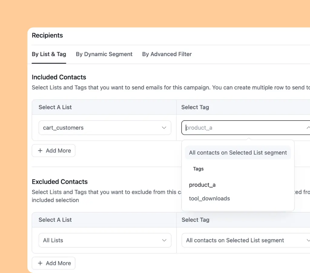 Email campaign interface for managing included and excluded contact lists.