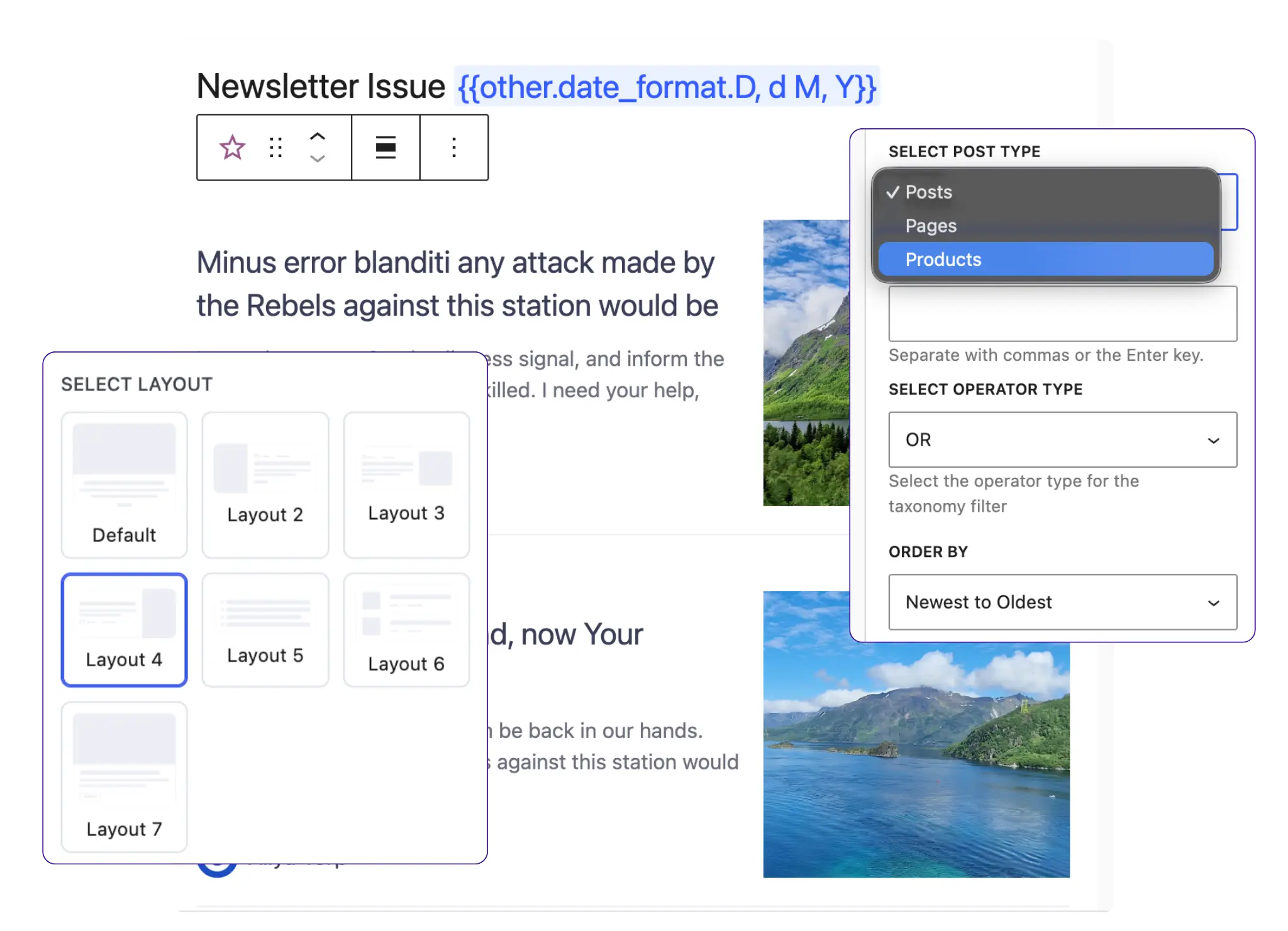 Newsletter builder interface showing layout and post type selection.