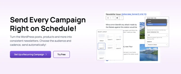 Promotional banner for an automated WordPress newsletter campaign scheduler.